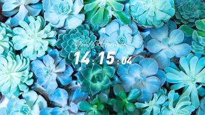 4k简约多肉清新壁纸