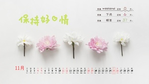 小清新绿植桌面