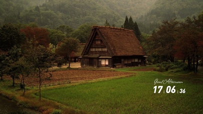 我去往丛林深处