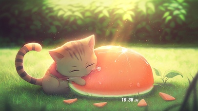 治愈夏日猫猫西瓜