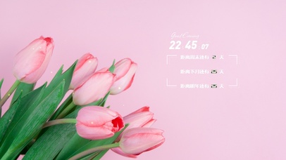 极简高级郁金香桌面