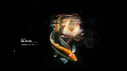 吉祥锦鲤  平安好运 