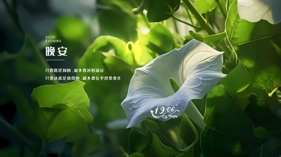 小清新护眼花朵