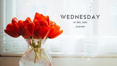 4k简约清新桌面