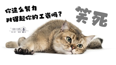打工人猫猫