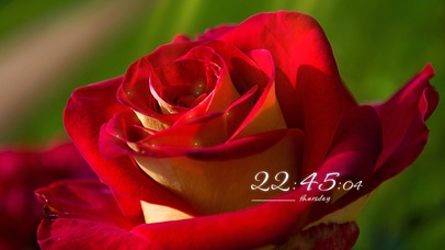 4k高级感清新桌面