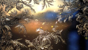 融化的雪花