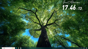 丛林之夏  护眼主题