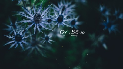 4k简约冷美系列