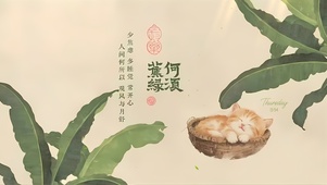 何须蕉绿