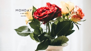 4k高清治愈清新系列