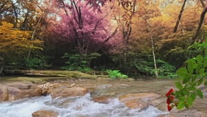 小溪