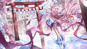 6k 樱花祭