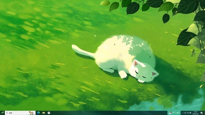 4K树荫下乘凉的猫咪