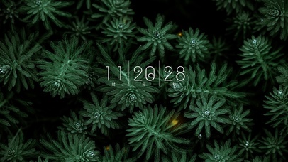 4k极简高级清新桌面