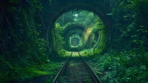 长满绿植的铁轨隧道
