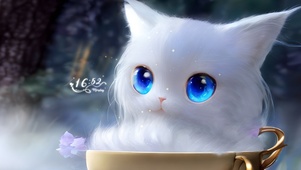 4k可爱蓝眼猫咪