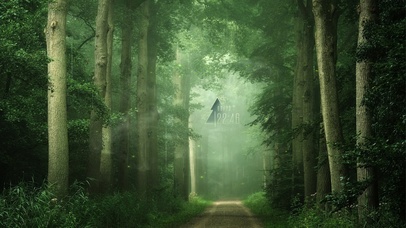 4k 治愈护眼雨天森林小路