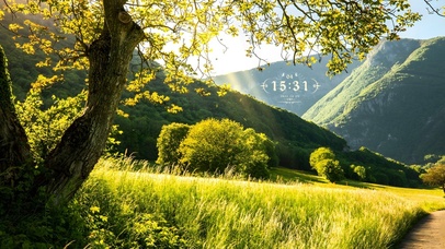 唯美治愈护眼树林青山