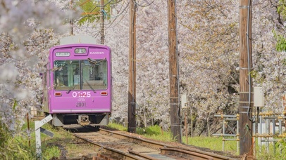 4K唯美治愈日系樱花列车
