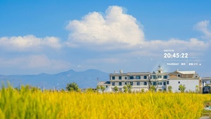 4K唯美乡村田园风景