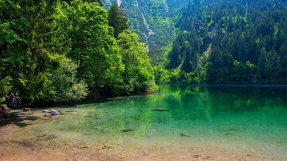 高清护眼绿色风景