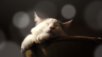 温馨岁月（求下载O.O)