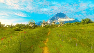 绿油油的草丛与远山