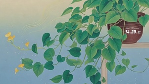 清新护眼