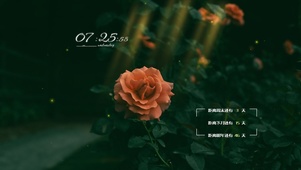 4k高清唯美系列