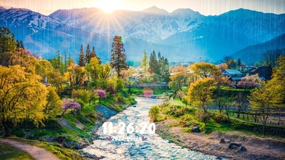 治愈唯美森林美景