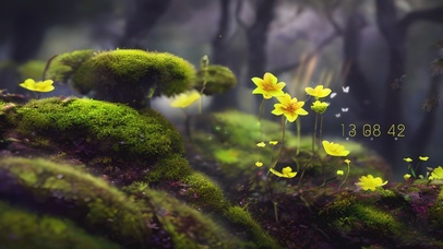 4k森林苔藓花朵