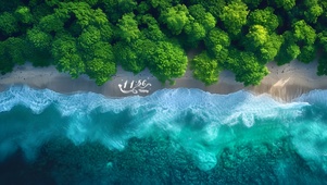 4K治愈湖水森林