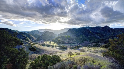 一片绿美景如画