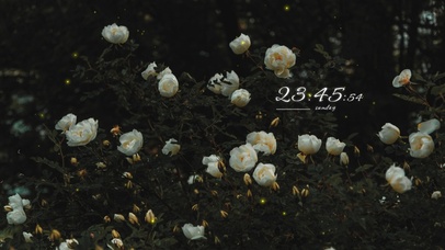 4k高清唯美系列