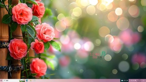 阳光花儿