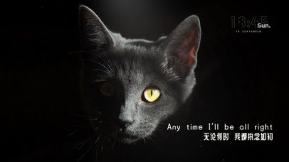 适合夜深人静的孤独