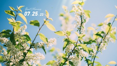 4k高清蓝天阳光系列