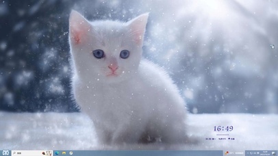 雪中奶喵主题壁纸