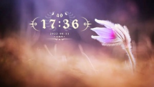 花雨