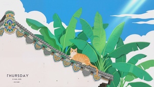屋顶上的猫