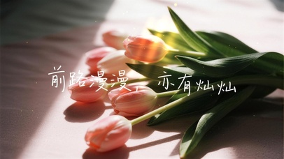 前路漫漫亦灿灿