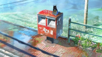 邮箱上的小猫咪