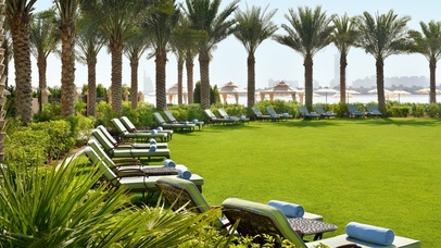 草坪 休息区 绿色护眼