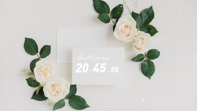 4k高清唯美白玫瑰