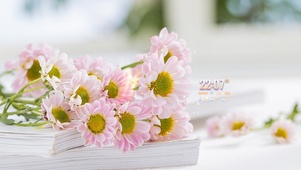 小清新鲜花