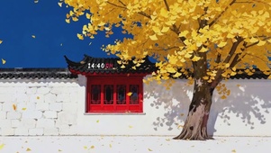 金黄银杏树