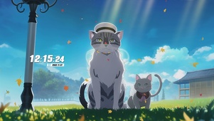 阳光下猫咪