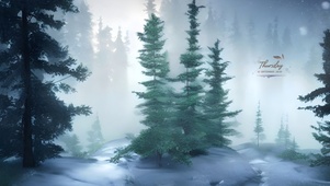 治愈雪中森林