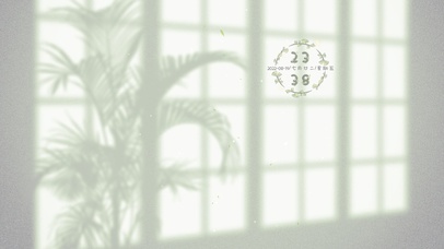 护眼简约窗户盆景光影